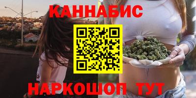 гидра Краснознаменск