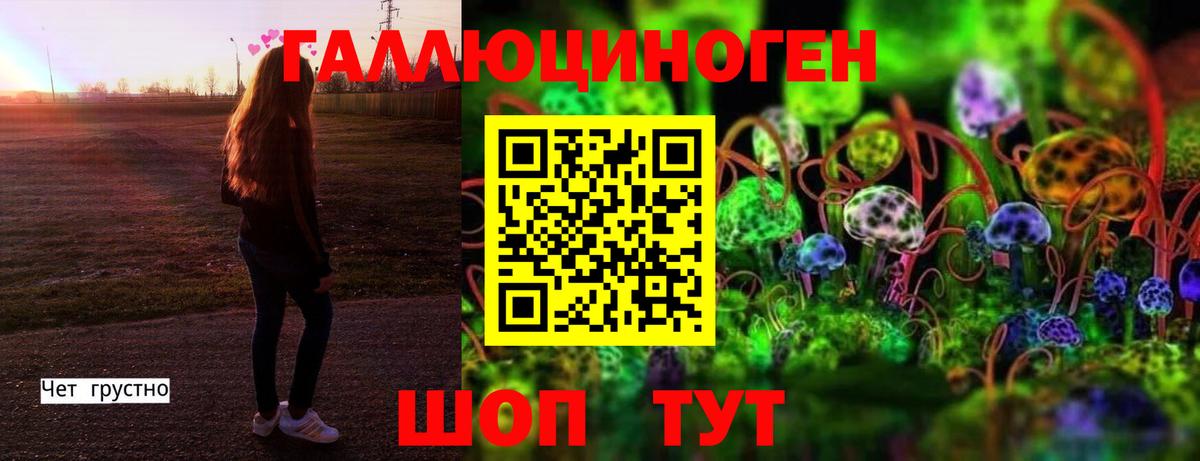 Псилоцибиновые грибы Psilocybine cubensis  Вход с VPN  Псилоцибиновые грибы мицелий  Йошкар-Ола 